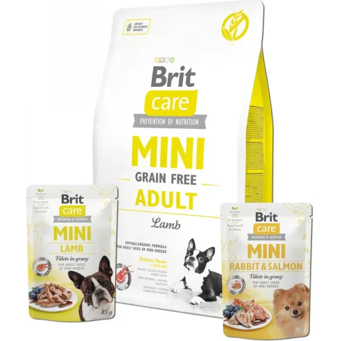Brit Care Mini GF Adult jehněčí 2 kg