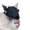 Fixovací náhubek Buster pro kočky