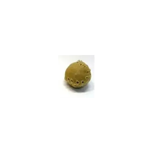 Pamlsek Salač Míček z kůže 5 cm