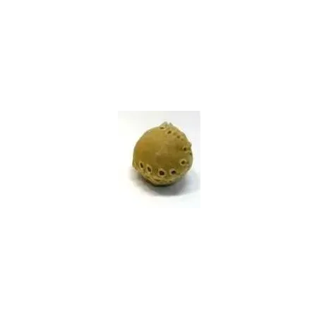 Pamlsek Salač Míček z kůže 5 cm