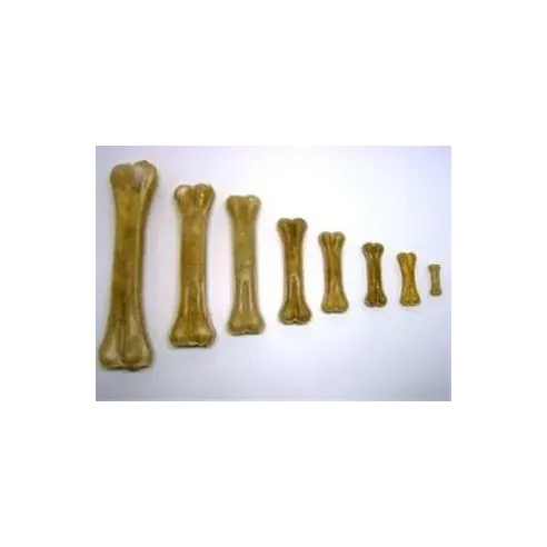 Pamlsek Salač Kost přírodní 5 cm, 10 ks