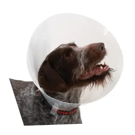 Límec transparentní BUSTER 15 cm, 10 ks