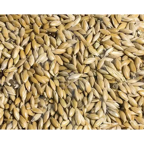 VL Holuby Lesknice kanárská 25 kg