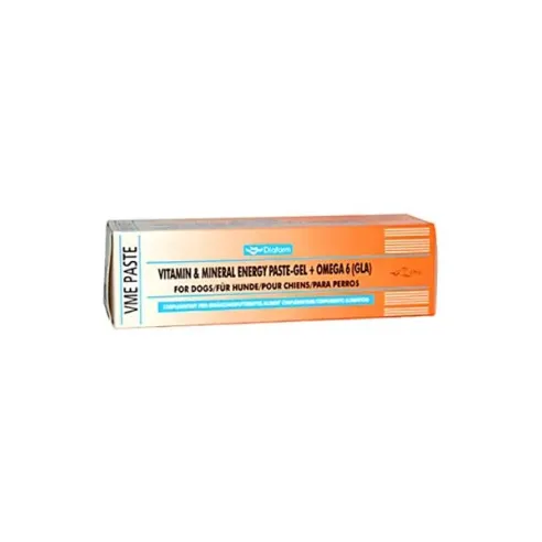 Vitamin & Mineral Energy Pasta pro psy 100 g