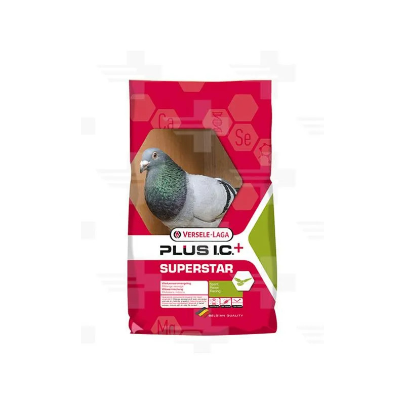 VL Holuby Superstar Plus I.C. vdovci 20 kg