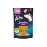 Nestlé FELIX Fantastic cat junior kuře želé kapsička 26x85 g
