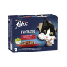 Nestlé FELIX Fantastic cat Multipack masový výběr želé kapsička 12x85 g