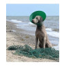 Ochranný límec BUSTER Green Ocean 25 cm 5 ks