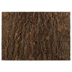 Pozadie Repti Planet korok prírodný 58,5x41x2cm