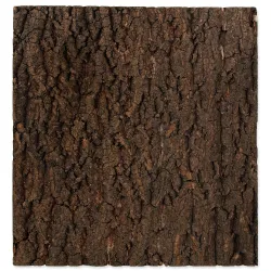 Pozadie Repti Planet korok prírodný 43,5x41x2cm