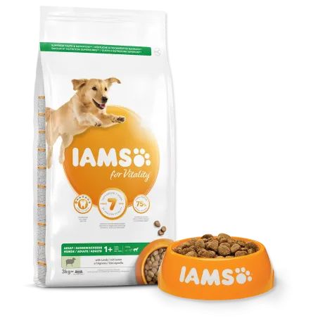 IAMS dog adult large lamb 3kg