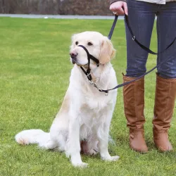 Trixie Ohlávka proti ťahaniu Top Trainer L / XL 37cm