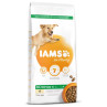 Krmivo IAMS Dog Adult Large Chicken 12kg