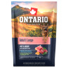 Ontario Adult Large Beef & Brown Rice 0,1 kg