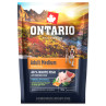 Ontario Adult Medium Fish & Brown Rice 0,1 kg