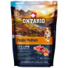 Ontario Puppy Medium Lamb & Brown Rice 0,1 kg
