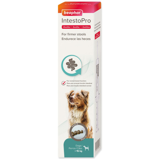 Pasta Beaphar IntestoPro L pre veľké psy 2x 20ml