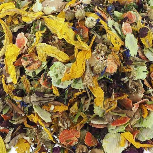 Pochoutka Nature Land Botanická letní zelenina s květy 100g