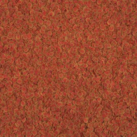 Krmivo Tetra Pro Colour sáček 12g