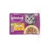 Mars WHISKAS kapsička cat Drůbeží výběr kuřecí & kachní & krůtí v želé 4 x 85 g