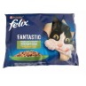 Nestlé FELIX Fantastic cat Multipack kuře s rajčaty & hovězí s mrkví želé kapsička 4x85 g